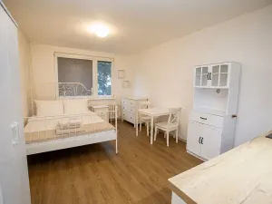 Pronájem bytu 1+kk, Jindřichův Hradec, sídliště U Nádraží, 26 m2