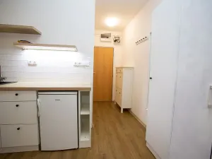 Pronájem bytu 1+kk, Jindřichův Hradec, sídliště U Nádraží, 26 m2