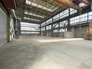 Pronájem výrobních prostor, Ostrava, 9648 m2