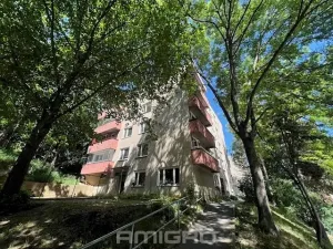 Prodej bytu 2+1, Brno, Podlesí, 53 m2