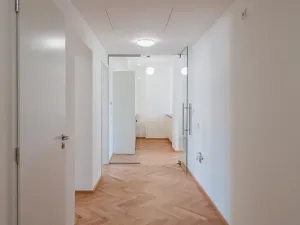 Pronájem bytu 3+kk, Praha - Žižkov, Seifertova, 85 m2