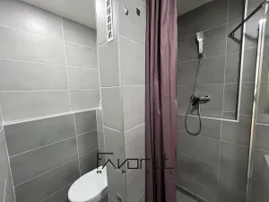 Pronájem bytu 2+kk, Ostrava, 29. dubna, 40 m2