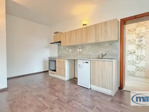 Prodej vícegeneračního domu, Holice, Hradecká, 226 m2