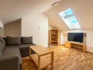 Prodej vícegeneračního domu, Písek, V Koutě, 786 m2