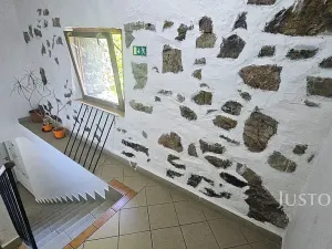 Prodej vícegeneračního domu, Písek, V Koutě, 786 m2