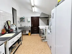Prodej restaurace, Písek, Hradiště, 497 m2