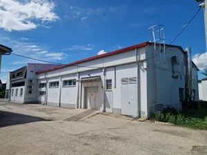 Pronájem obchodního prostoru, Havířov - Bludovice, Těšínská, 450 m2