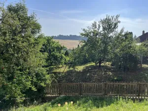 Prodej chalupy, Orlovice, 90 m2