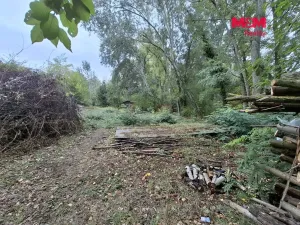 Prodej lesa, Šakvice, 815 m2