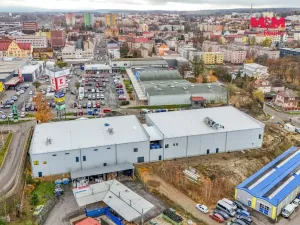 Pronájem výrobních prostor, Cheb, Karlova, 2200 m2