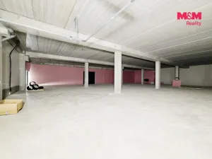 Pronájem výrobních prostor, Cheb, Karlova, 2200 m2