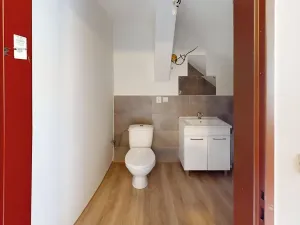 Pronájem bytu 1+1, Holčovice, 51 m2