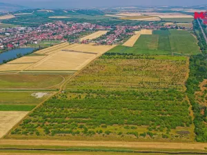 Prodej pole, Rakvice, 12442 m2