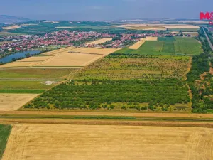 Prodej pole, Rakvice, 12442 m2