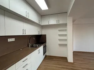 Pronájem bytu 4+kk, Olomouc, Přáslavská, 170 m2