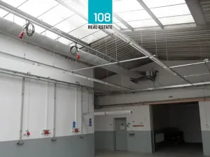 Prodej výrobních prostor, Planá, Zámecká, 3192 m2