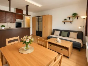 Pronájem bytu 1+kk, Praha - Nusle, Nad Jezerkou, 37 m2