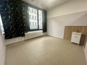 Pronájem obchodního prostoru, Liberec, Revoluční, 18 m2