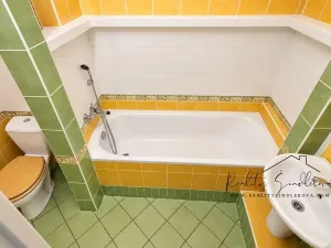 Pronájem bytu 1+1, Přerov, Petřivalského, 39 m2