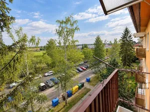 Pronájem bytu 1+1, Přerov, Petřivalského, 39 m2