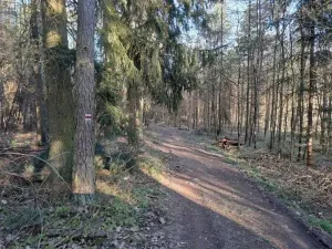 Prodej pozemku, Probulov, 3017 m2