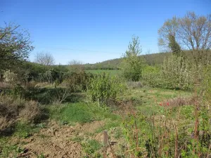 Prodej zahrady, Brno, Řezáčova, 1392 m2