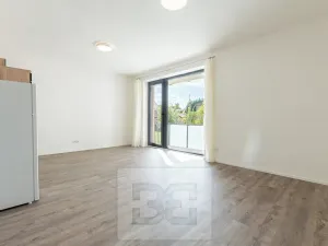 Pronájem bytu 1+kk, Plzeň, Na Průhonu, 37 m2
