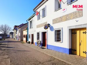 Prodej rodinného domu, Bořetice, 240 m2
