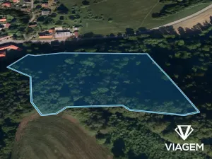 Prodej podílu lesa, Metylovice, 4457 m2