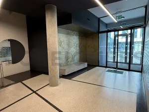 Pronájem bytu 1+kk, Praha, Plzeňská, 20 m2