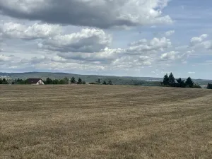 Prodej pozemku, Brno, Vejrostova, 2440 m2