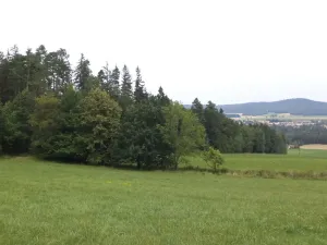 Prodej pozemku, Holubov, 5614 m2
