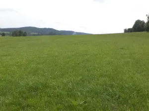 Prodej pozemku, Holubov, 5987 m2