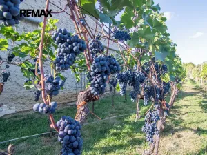 Prodej rodinného domu, Tvrdonice, Příční, 225 m2