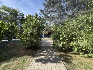 Prodej bytu 1+1, Brno - Lesná, Nejedlého, 38 m2