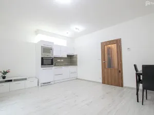 Pronájem bytu 1+kk, Brno, Lišejníková, 35 m2