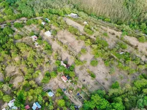 Prodej zahrady, Dolní Kounice, 985 m2