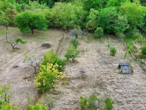 Prodej zahrady, Dolní Kounice, 985 m2