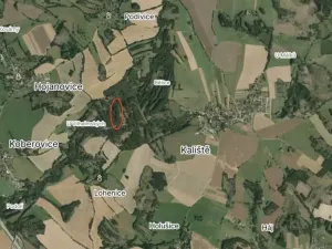 Prodej lesa, Koberovice, 19133 m2