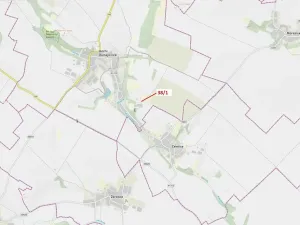 Dražba lesa, Horní Dunajovice, 245 m2