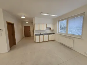Pronájem kanceláře, Brno - Štýřice, Vinohrady, 76 m2
