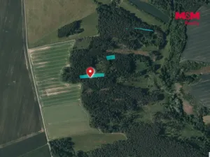 Prodej lesa, Břežany, 3520 m2