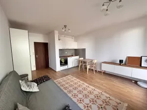 Pronájem bytu 1+kk, Praha - Stodůlky, Svitákova, 30 m2