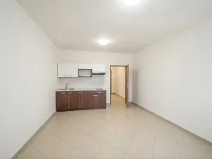 Prodej bytu 1+kk, Brno, 29 m2