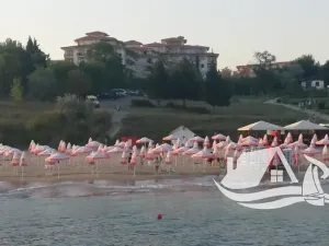 Prodej bytu 2+kk, Ravda, Bulharsko, 46 m2