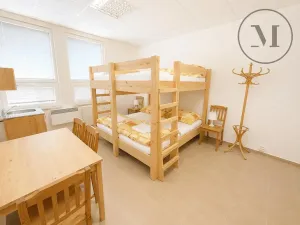 Prodej apartmánu, Přední Výtoň, 423 m2