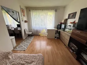Prodej bytu 2+1, Žatec, Hájkova, 51 m2