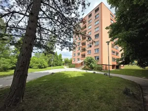 Pronájem bytu 1+kk, Brno, Opálkova, 26 m2