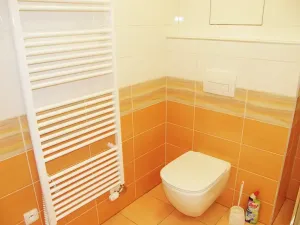 Prodej bytu 1+kk, Kašperské Hory, Lesní, 28 m2