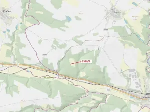 Dražba lesa, Vladislav, 54 m2